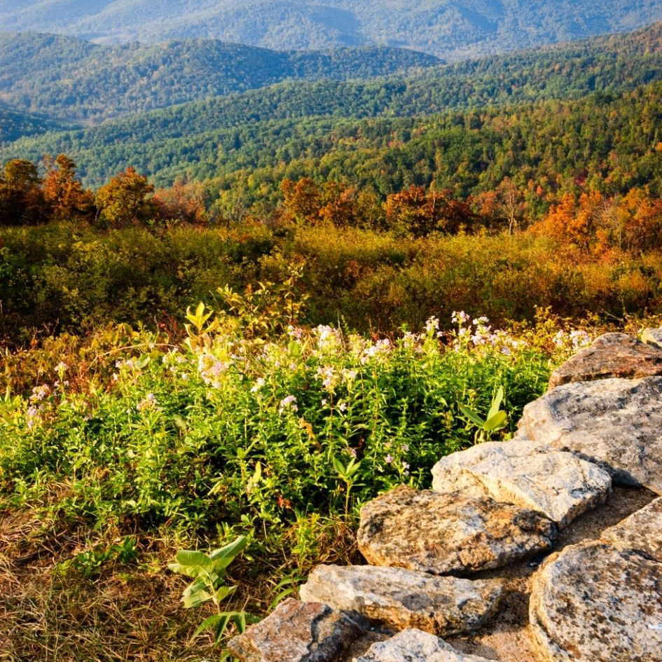 USA National Parks Travel Guide